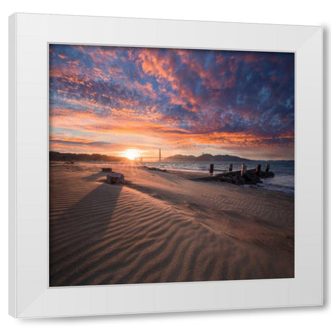 Composed White Modern Wood Framed Art Print by Gordon, Dave