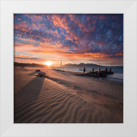 Composed White Modern Wood Framed Art Print by Gordon, Dave