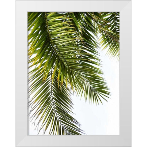 Palm Leaves White Modern Wood Framed Art Print by Greer, Lexie