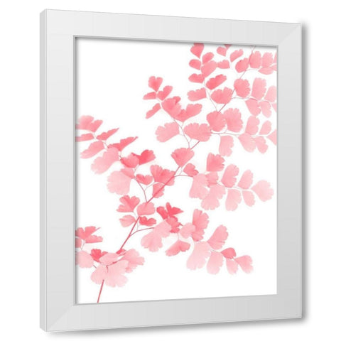 Pink Maidenhair White Modern Wood Framed Art Print by Greer, Lexie