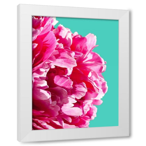 Pink Peony White Modern Wood Framed Art Print by Greer, Lexie