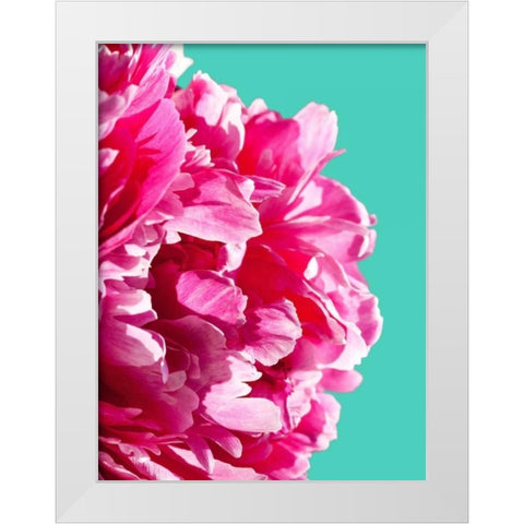 Pink Peony White Modern Wood Framed Art Print by Greer, Lexie