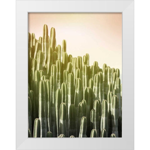 Pink Sky Cactus White Modern Wood Framed Art Print by Greer, Lexie