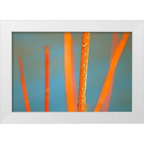 Along the River No. 5 White Modern Wood Framed Art Print by Gonzalez, Ulpi