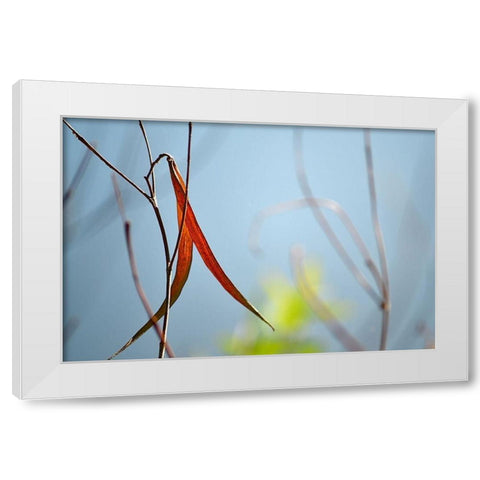 Red and Green by the River White Modern Wood Framed Art Print by Gonzalez, Ulpi