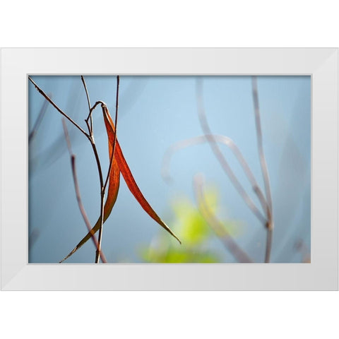 Red and Green by the River White Modern Wood Framed Art Print by Gonzalez, Ulpi