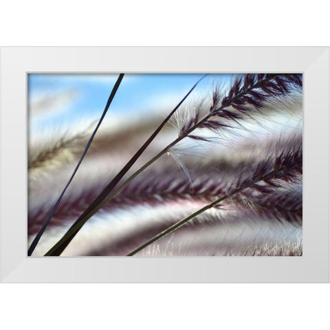 Grasses No. 8 White Modern Wood Framed Art Print by Gonzalez, Ulpi