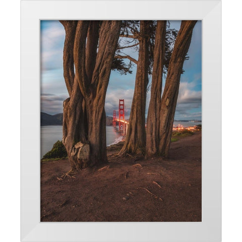 Between the Trees White Modern Wood Framed Art Print by Getty, Bruce