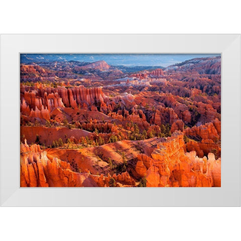 Morning Light White Modern Wood Framed Art Print by Gavrilis, John