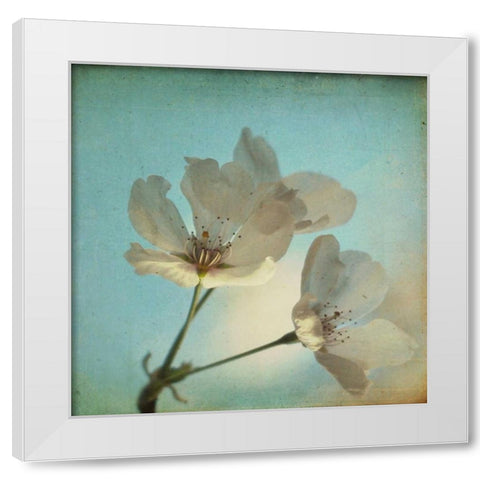 Spring Sings White Modern Wood Framed Art Print by Hanna, Dawn D.