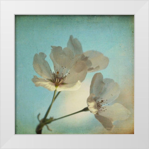 Spring Sings White Modern Wood Framed Art Print by Hanna, Dawn D.