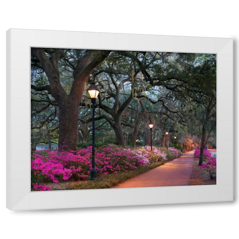 Forsythe Park White Modern Wood Framed Art Print by Hiers, Winthrope