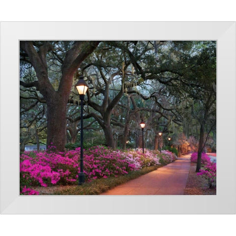 Forsythe Park White Modern Wood Framed Art Print by Hiers, Winthrope