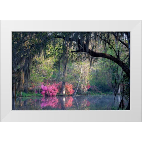 Morning Serenity White Modern Wood Framed Art Print by Herrera, H.J.