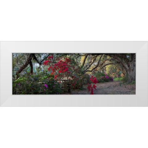 Springtime Morning White Modern Wood Framed Art Print by Herrera, H.J.