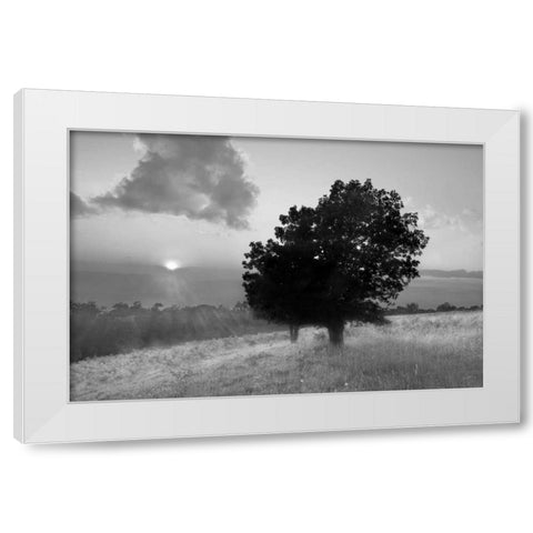 Spitler Knoll Overlook White Modern Wood Framed Art Print by Hiers, Winthrope