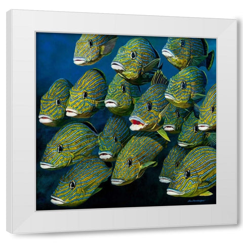 Shoal of Grunts White Modern Wood Framed Art Print by Henderson, Jan