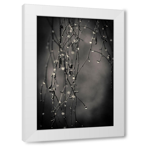 Bare Branches 2017 White Modern Wood Framed Art Print by Horsfall, Gary