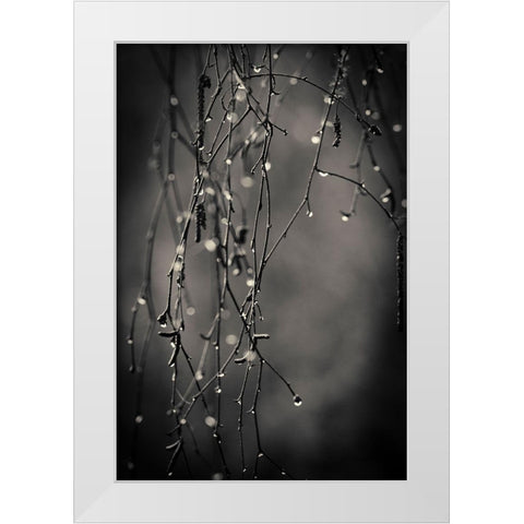 Bare Branches 2017 White Modern Wood Framed Art Print by Horsfall, Gary