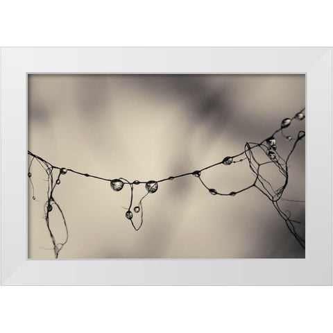 Moss 2017 White Modern Wood Framed Art Print by Horsfall, Gary