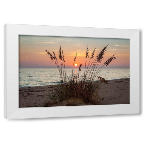 Days End White Modern Wood Framed Art Print by Herrera, H.J.