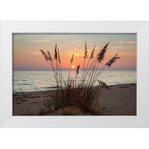 Days End White Modern Wood Framed Art Print by Herrera, H.J.