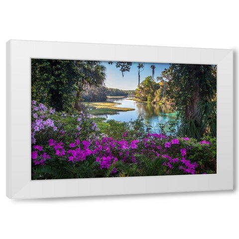 Rainbow Springs White Modern Wood Framed Art Print by Herrera, H.J.