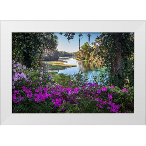 Rainbow Springs White Modern Wood Framed Art Print by Herrera, H.J.