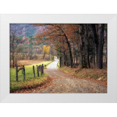 Autumn Drive I White Modern Wood Framed Art Print by Head, Danny