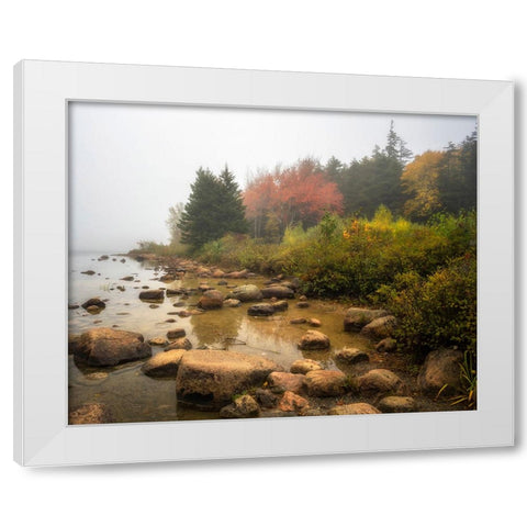 Misty Maine White Modern Wood Framed Art Print by Head, Danny