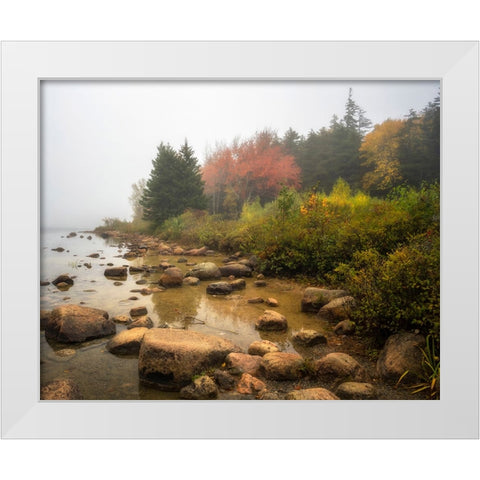 Misty Maine White Modern Wood Framed Art Print by Head, Danny