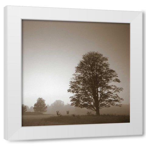 Stillness White Modern Wood Framed Art Print by PhotoINC Studio