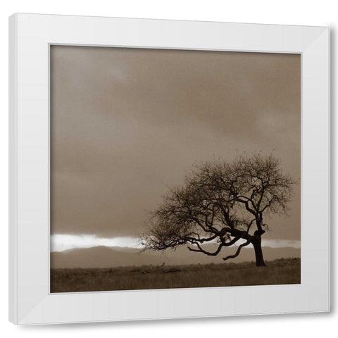 Survivor White Modern Wood Framed Art Print by PhotoINC Studio
