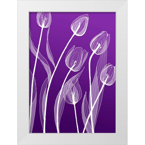 X-ray Flowers White Modern Wood Framed Art Print by GraphINC