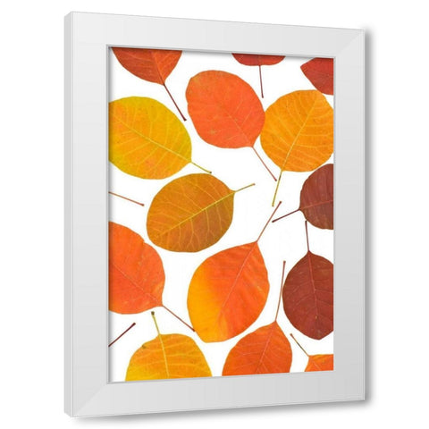Brown Leaves White Modern Wood Framed Art Print by PhotoINC Studio