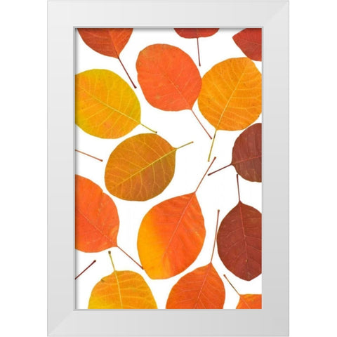 Brown Leaves White Modern Wood Framed Art Print by PhotoINC Studio