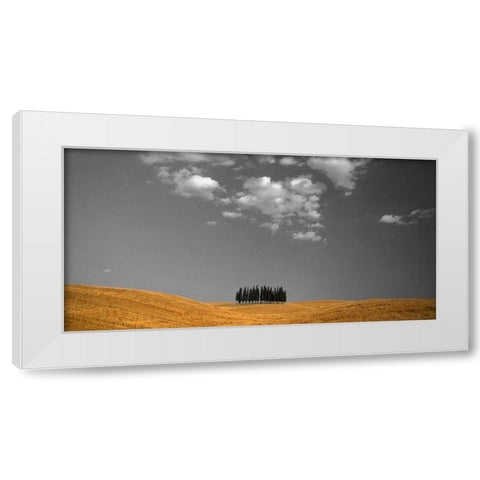 Toscana Landscape White Modern Wood Framed Art Print by PhotoINC Studio