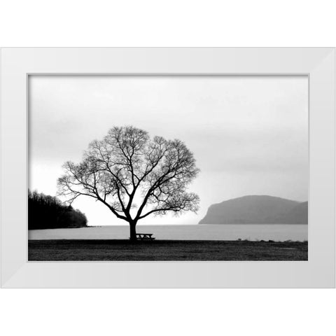 Picnic Tree White Modern Wood Framed Art Print by PhotoINC Studio