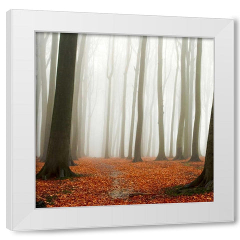 Autumn Forest Floor White Modern Wood Framed Art Print by PhotoINC Studio