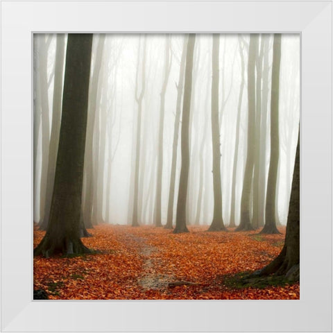 Autumn Forest Floor White Modern Wood Framed Art Print by PhotoINC Studio