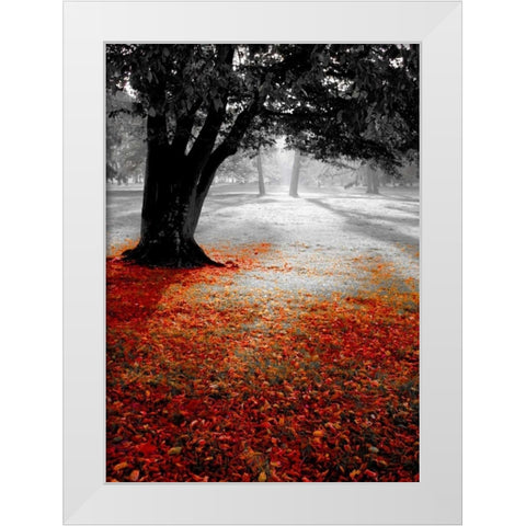 Autumn Contrast White Modern Wood Framed Art Print by PhotoINC Studio