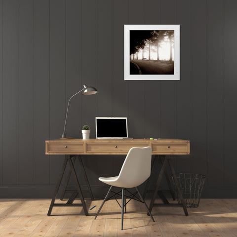 Roadside Bench White Modern Wood Framed Art Print by PhotoINC Studio