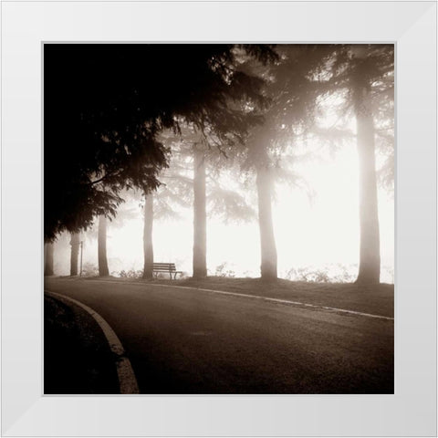 Roadside Bench White Modern Wood Framed Art Print by PhotoINC Studio