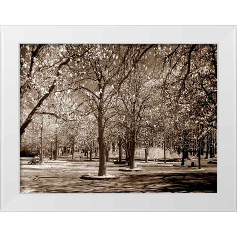 Cherry Tree Park White Modern Wood Framed Art Print by PhotoINC Studio