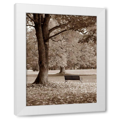 Park View White Modern Wood Framed Art Print by PhotoINC Studio