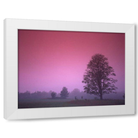Evening Fields White Modern Wood Framed Art Print by PhotoINC Studio