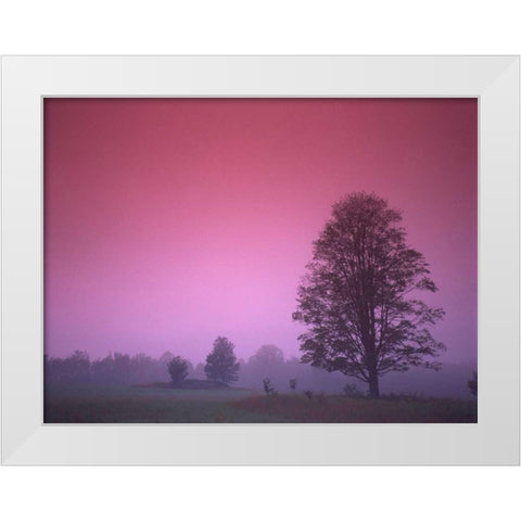 Evening Fields White Modern Wood Framed Art Print by PhotoINC Studio