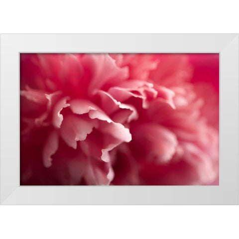 Nebula White Modern Wood Framed Art Print by PhotoINC Studio