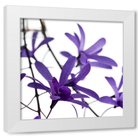 Purple Blossom White Modern Wood Framed Art Print by PhotoINC Studio