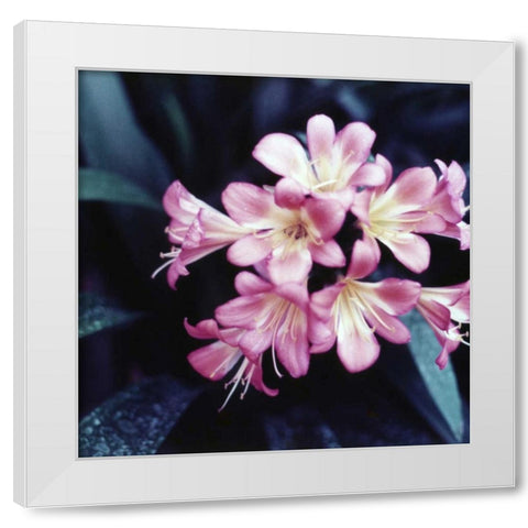 Pink Blossom White Modern Wood Framed Art Print by PhotoINC Studio